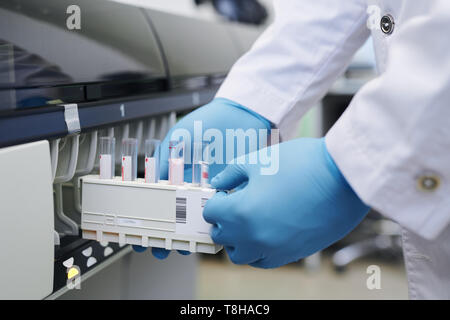 Utilizzando macchina da laboratorio per la ricerca di sangue Foto Stock