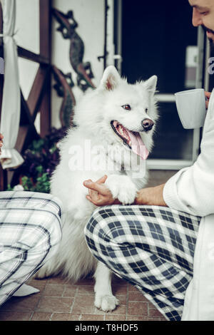 Inquadratura ravvicinata di un cane bianco dando una zampa Foto Stock