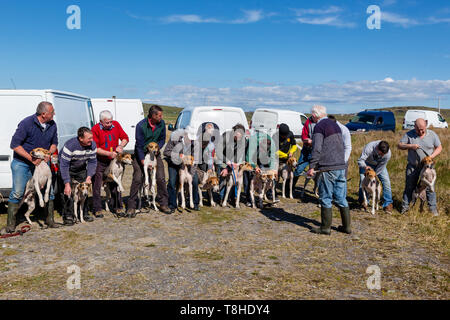 Trascinare Hunt gara incontro, Valentia Island, nella contea di Kerry, Irlanda Foto Stock