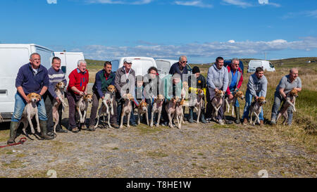 Trascinare Hunt gara incontro, Valentia Island, nella contea di Kerry, Irlanda Foto Stock