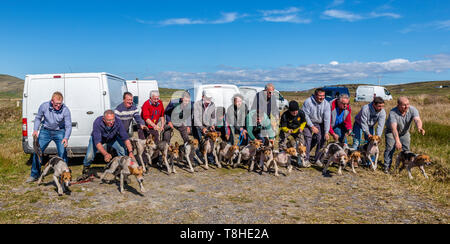 Trascinare Hunt gara incontro, Valentia Island, nella contea di Kerry, Irlanda Foto Stock