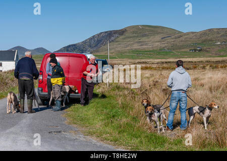 Trascinare Hunt gara incontro, Valentia Island, nella contea di Kerry, Irlanda Foto Stock