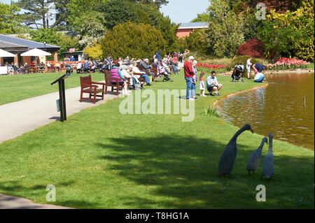 Una folla di gente che godendo il sole a Burnby Hall Gardens, Pocklington, East Riding of Yorkshire, Inghilterra, Regno Unito, GB. Foto Stock