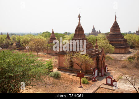 Vista di stupa e templi vicino tempio Alotawpyae, Old Bagan e Nyaung U Zona villaggio, Mandalay regione, Myanmar, Asia Foto Stock