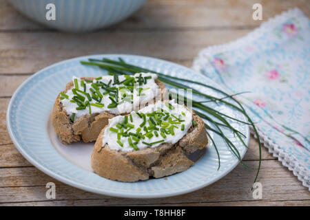 Brot mit Quark und Schnittlauch, Butterbrot, Schnittlauch-Brot, Schnittlauch, Schnitt-Lauch, Allium schoenoprasum, erba cipollina, Ciboulette Foto Stock