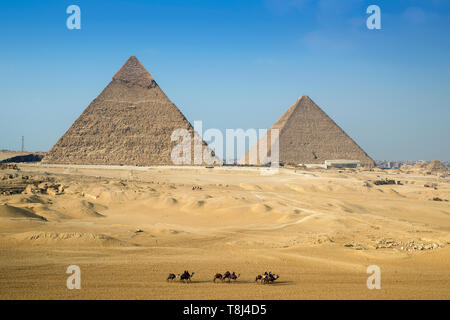 Camel tour a piedi passato le grandi piramidi a Giza Plateau vicino al Cairo, Egitto Foto Stock