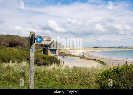 Costa di orientamento per un sentiero sul sentiero costiero di Baia di argento molto tranquilla spiaggia di sabbia. Rhoscolyn, Isola di Anglesey, Galles, Regno Unito, Gran Bretagna Foto Stock