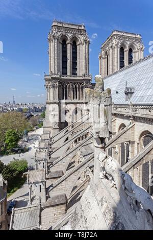 Francia, Parigi, zona elencata come patrimonio mondiale dall'UNESCO, la cattedrale di Notre Dame in città isola, i campanili e i battenti butresses Foto Stock