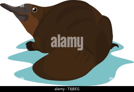 Un marrone platypus con un elemento allungato di bill, coda corta, palmati piedi e dense di pellicce, acutamente guarda a sinistra mentre giaceva sull'acqua su bianco backgrou Illustrazione Vettoriale