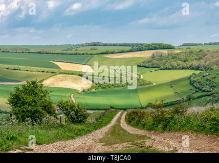 La via che corre attraverso i terreni agricoli Foto Stock