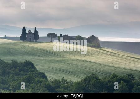 L'Italia, Toscana, Val d'Orcia elencati come patrimonio mondiale dall' UNESCO, campagna nei pressi di Pienza, di cappella Vitaleta Foto Stock