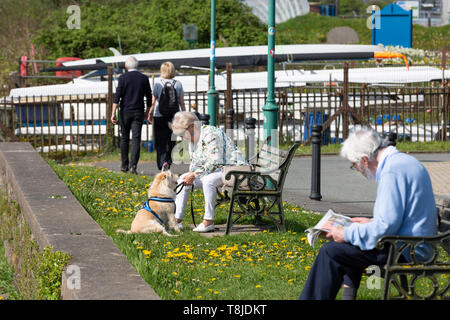 Senior uomini e donne godendo il tempo libero su un luminoso mattina - giovane a piedi, uomo che legge il giornale, la donna con il cane Foto Stock