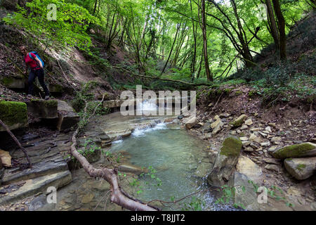 Donna che attraversa un fiume di montagna ruscello che scorre attraverso una folta foresta verde. Flusso in legno ad alta densità. Pasjak, Slovenia Foto Stock