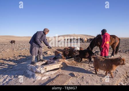 Mongolia Mongolia Est, area di steppa, pastori Mongoli in abiti tradizionali venite fuori del bene acqua nel mezzo dell'inverno per dare i cavalli un drink Foto Stock