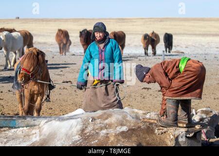 Mongolia Mongolia Est, area di steppa, pastori Mongoli in abiti tradizionali venite fuori del bene acqua nel mezzo dell'inverno per dare i cavalli un drink Foto Stock