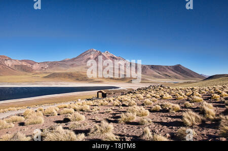 Il bel lago Miscanti sull'altiplano, il Deserto di Atacama, Cile Foto Stock