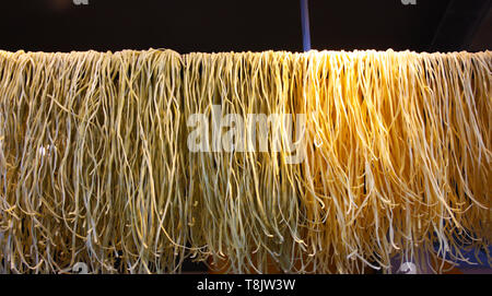 Gustosa la pasta fresca con filamenti simili preparata di fresco e impastati gli spaghetti e disposti in una fila su un filo per asciugare Foto Stock