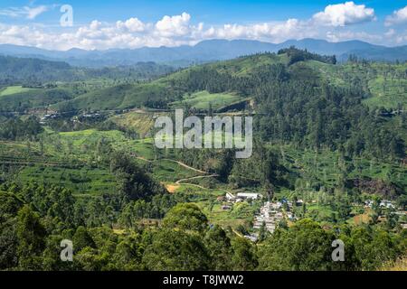 Sri Lanka, provincia di Uva, lungo la linea ferroviaria che collega Badulla a Kandy attraversando le regioni di montagna e le piantagioni di tè Foto Stock