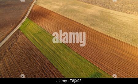 Francia, Alpes de Haute Provence, Verdon Parco Naturale Regionale, altopiano di Valensole, Valensole (vista aerea) Foto Stock