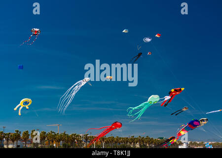 VALENCIA, Spagna. 12 maggio 2019: Kite Festival internazionale. Spiaggia di Malvarrosa. Concorso con acrobatica e voli coreografici. Aquiloni Foto Stock