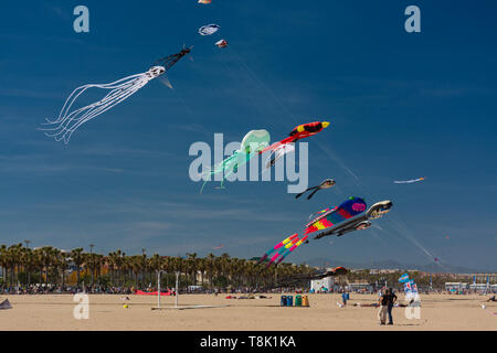 VALENCIA, Spagna. 12 maggio 2019: Kite Festival internazionale. Spiaggia di Malvarrosa. Concorso con acrobatica e voli coreografici. Aquiloni e spiaggia Foto Stock