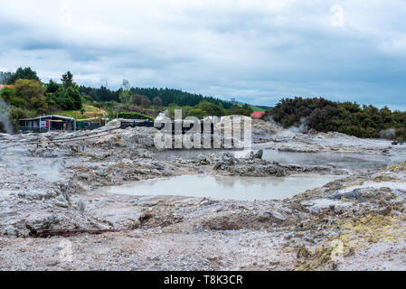 Hells Gate, Nuova Zelanda - 1 marzo 2018. Aleggia di vapore aumento dalle Piscine geotermali presso il parco noto come Hell's Gate. Foto Stock