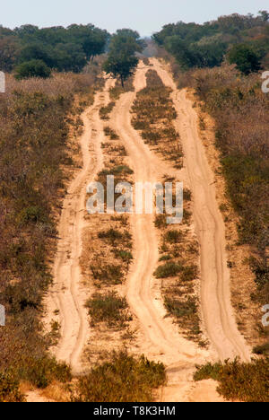 Pesante sabbia sui percorsi off-road attraversando Chobe National Park, Botswana Foto Stock