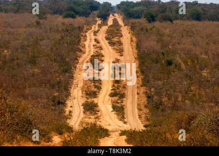 Pesante sabbia sui percorsi off-road attraversando Chobe National Park, Botswana Foto Stock