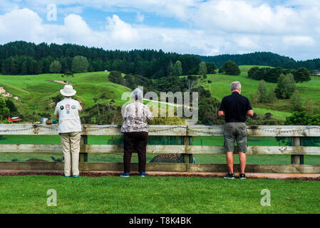 Foto di turisti in Nuova Zelanda che si affacciava su un bel paesaggio di laminazione. Foto Stock