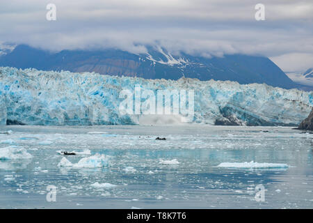 Ghiacciaio in Alaska visto dalla nave da crociera Foto Stock