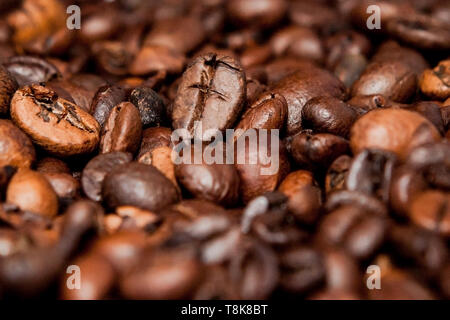 Miscela di diversi tipi di chicchi di caffè. Sfondo di caffè. Foto Stock