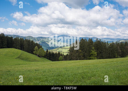 Paesaggio nella parte sud della Foresta Nera in Germania, vicino Rohrberg vicino a Zell im Wiesental. Foto Stock