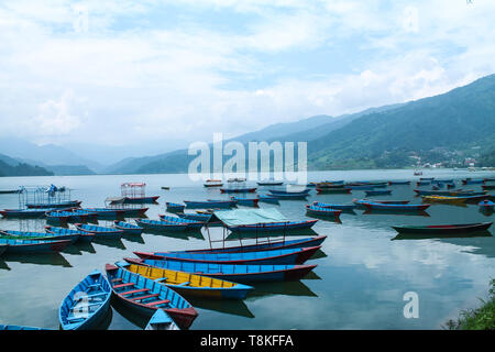 Barche colorate sul bellissimo lago phewa,Pokhara, Nepal Foto Stock