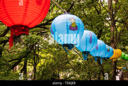 Fila di belle lanterne di carta. Il festival celebra il compleanno di Buddha in Corea del Sud. Foto Stock