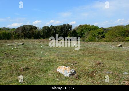 Stackpole Warren antico villaggio o insediamento rimane Bosherston Pembrokeshire Coast National Park Galles Cymru REGNO UNITO Foto Stock