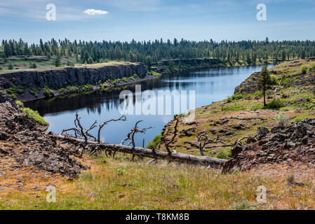 Primavera al lago di porco Foto Stock