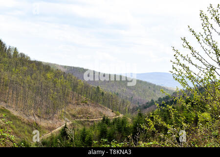 Verde di boschi di latifoglie e pino foreste montane in Croazia durante la primavera Foto Stock