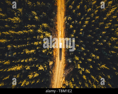 La trazione a quattro ruote motrici la guida attraverso la foresta di pini vicino Taradale & Laurel Hill, montagne innevate, Nuovo Galles del Sud Foto Stock