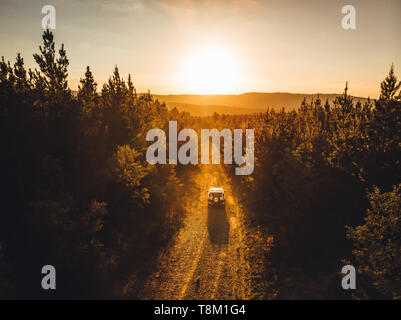 La trazione a quattro ruote motrici la guida attraverso la foresta di pini vicino Taradale & Laurel Hill, montagne innevate, Nuovo Galles del Sud Foto Stock