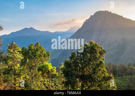 Sri Lanka, provincia di Uva, Ella, Ella Rock visto da poco Adam's Peak Foto Stock