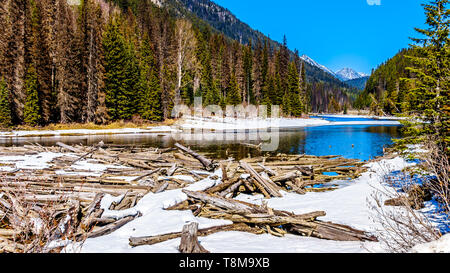 Congelati log jam al Lago Duffey in Costa Montagne in Cayoosh Creek che corre lungo la Duffey Lake road tra Pemberton e Lillooet, BC, Canada Foto Stock