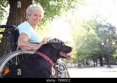 Senior donna in sedia a rotelle e il suo cane all'aperto Foto Stock