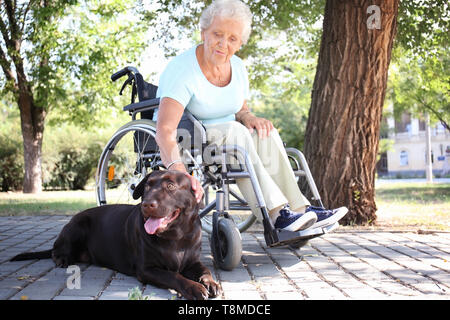 Senior donna in sedia a rotelle e il suo cane all'aperto Foto Stock