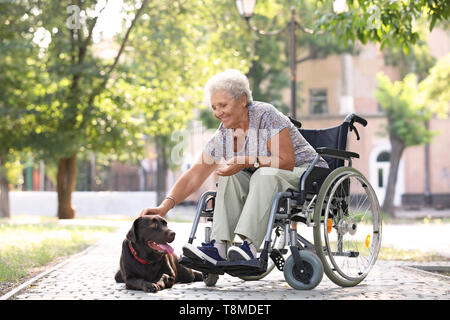 Senior donna in sedia a rotelle e il suo cane all'aperto Foto Stock