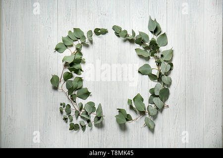 Cornice fatta di rami di eucalipto su luce tavolo in legno Foto Stock