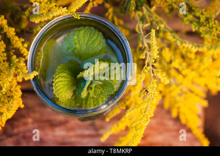 La medicina naturale. Il succo di erba, sciroppo, lucidità, salute. La medicina naturale, medicina olistica, Foto Stock