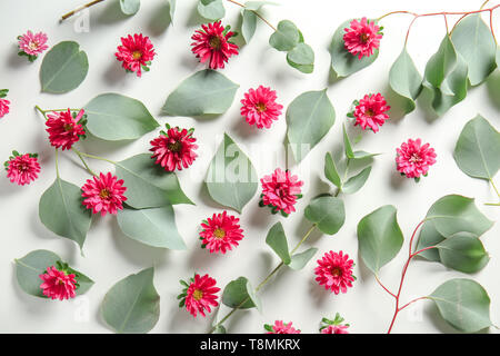 Verde Eucalipto foglie e fiori di crisantemo su sfondo bianco Foto Stock