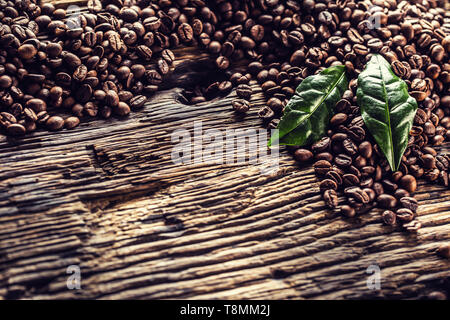 Parte superiore di vista i chicchi di caffè e foglie verdi sul rovere rustico tavolo Foto Stock