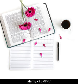 Lay piatto aprire la Bibbia o il libro e rosa, viola, viola, rosso Gerbera fiore su uno sfondo bianco. Con petali di rosa, tè nero, open journal, penna nera Foto Stock