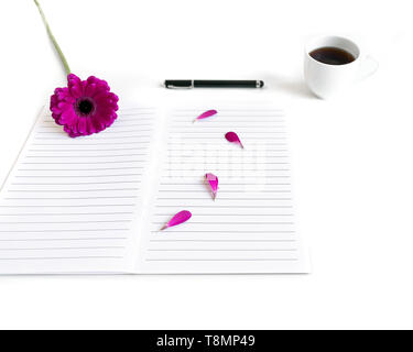 Lay piatto aprire la Bibbia o il libro e rosa, viola, viola, rosso Gerbera fiore su uno sfondo bianco. Con petali di rosa, tè nero, open journal, penna nera Foto Stock